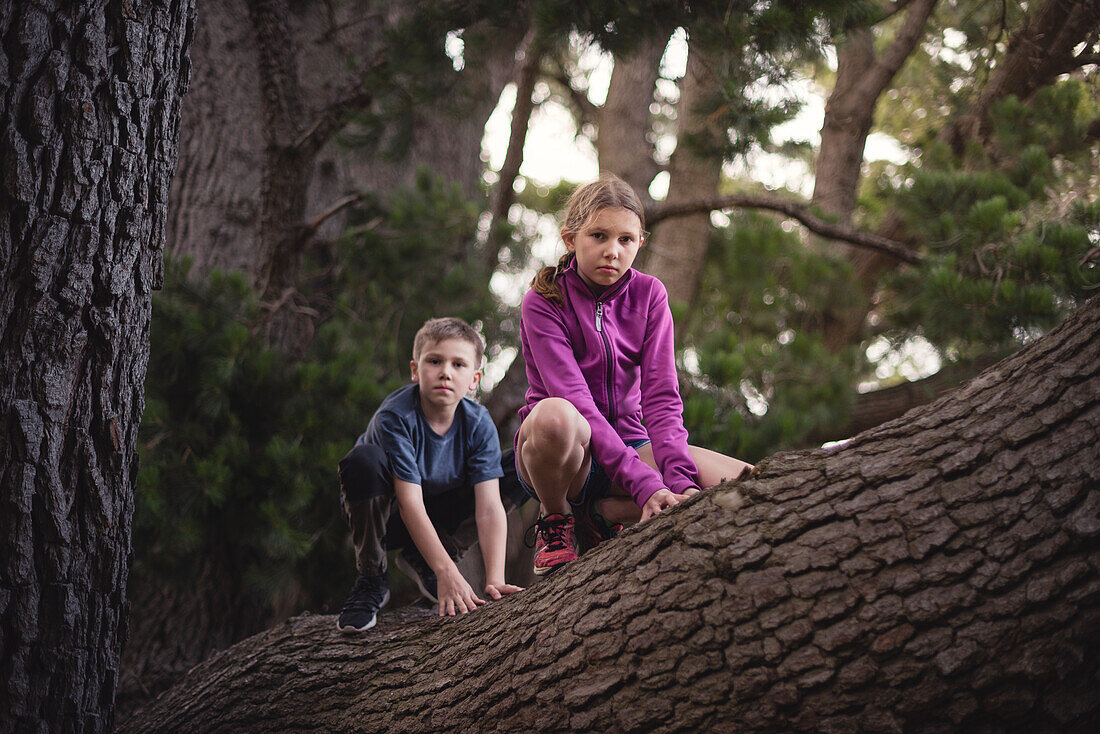Boy and girl on tree