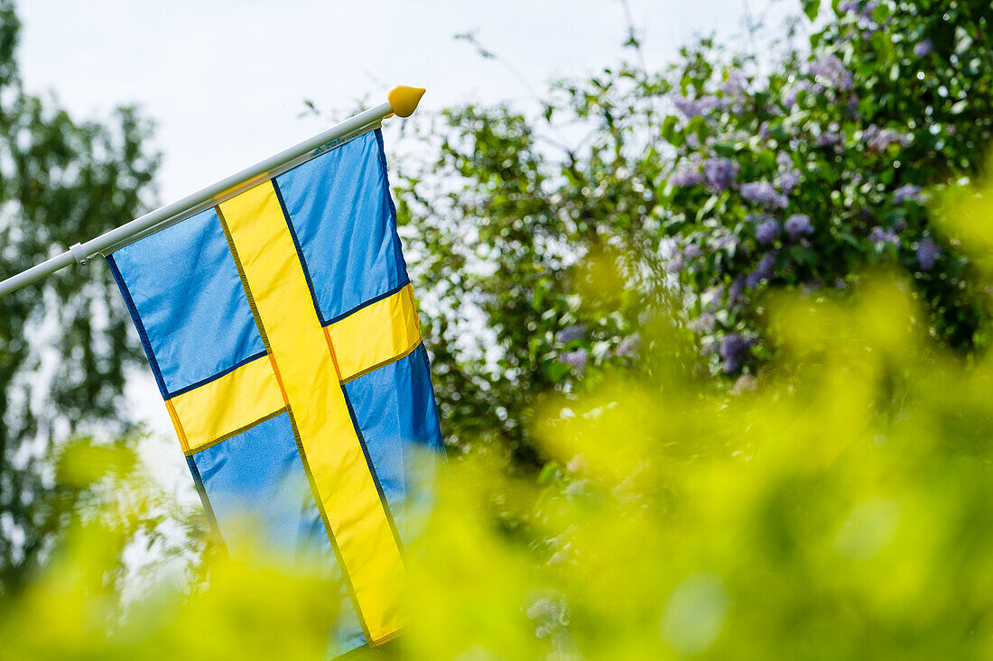 Swedish flag