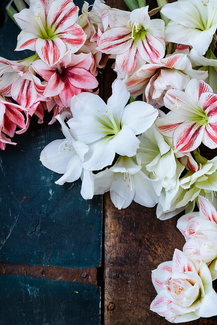 Fresh flowers on table