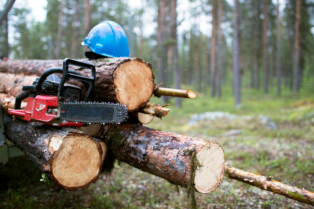 Chainsaw and helmet on logs