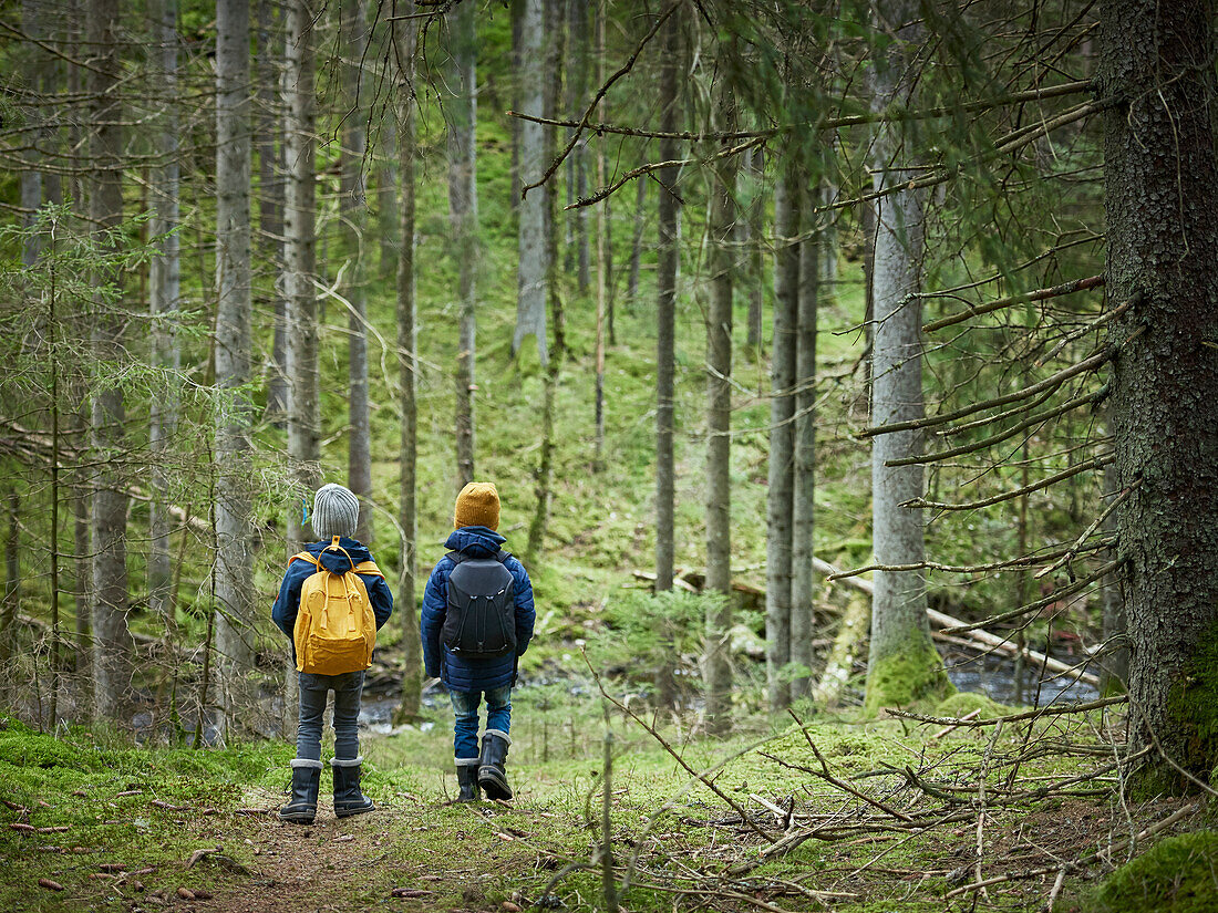 Boys walking in forest