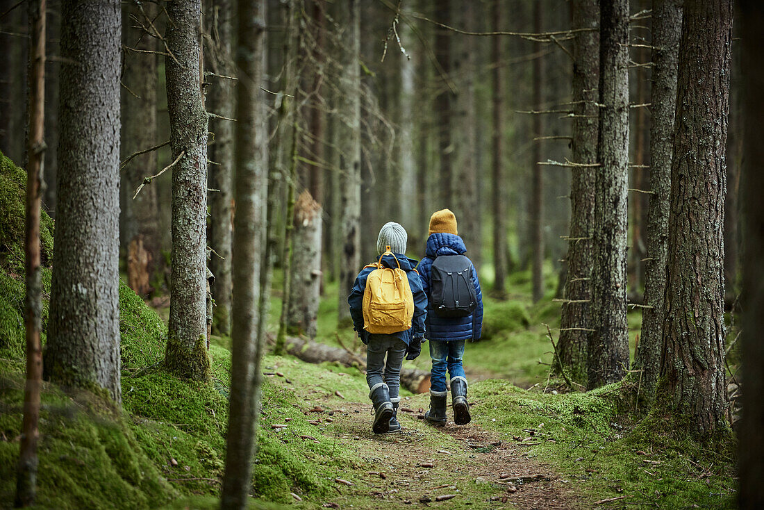 Boys walking in forest