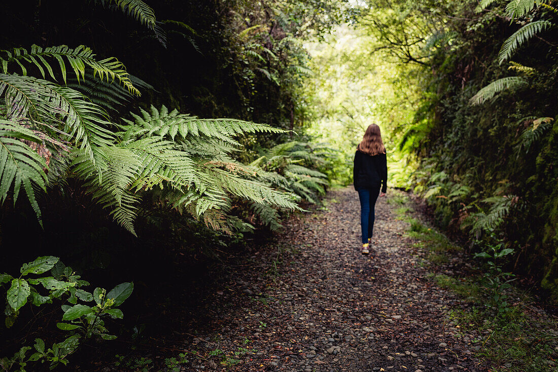 Mädchen geht im Wald spazieren