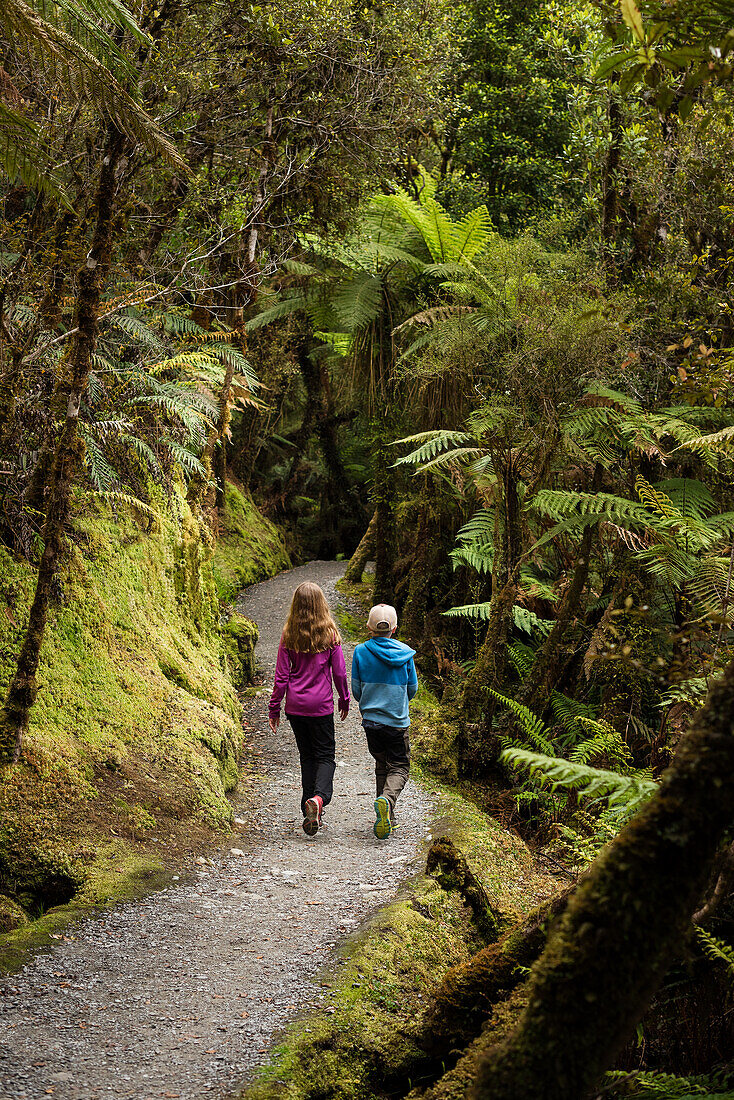 Children walking through forest