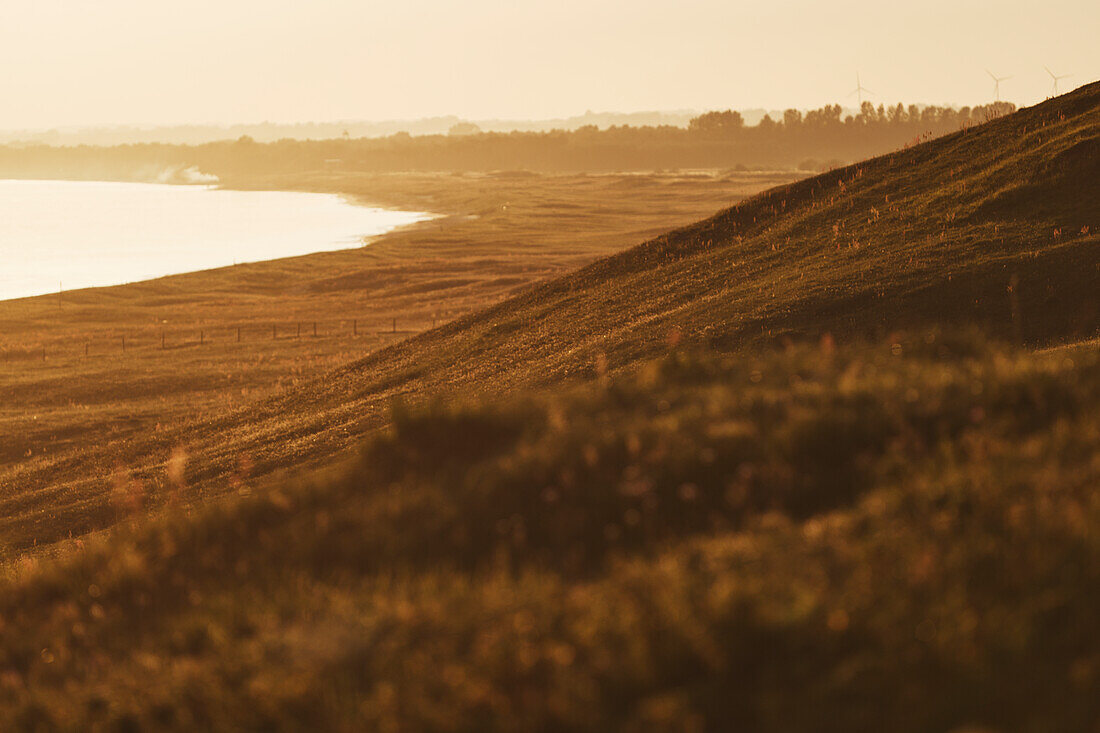 Coast at sunset