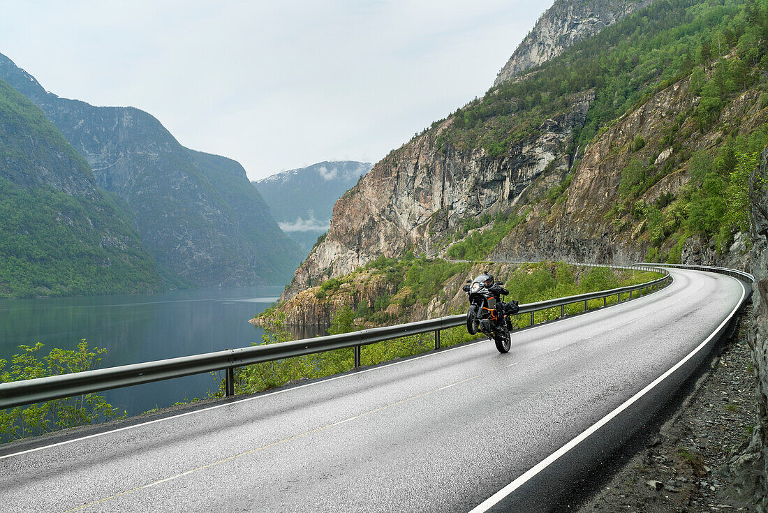 Biker performing wheelie on motorbike on country road