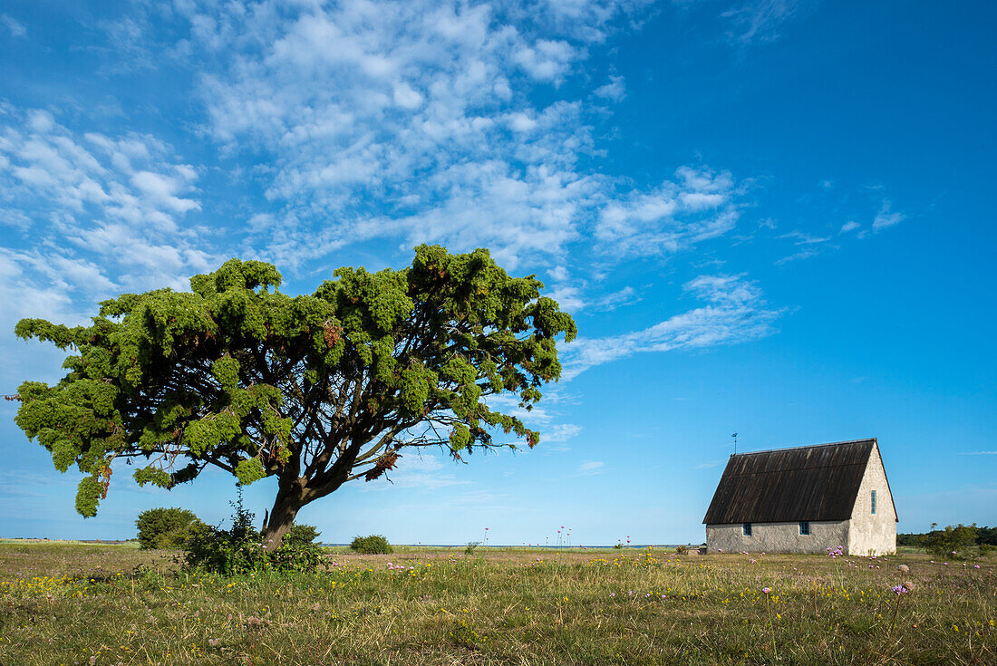 Old building on meadow