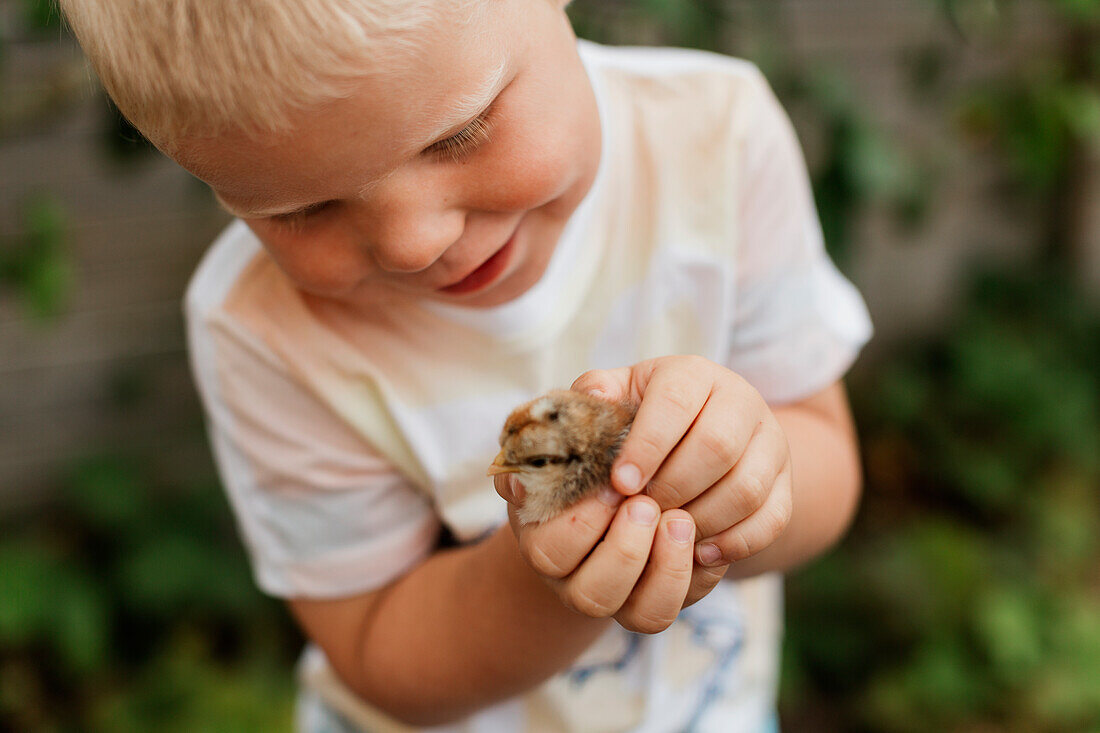 Boy holding chick