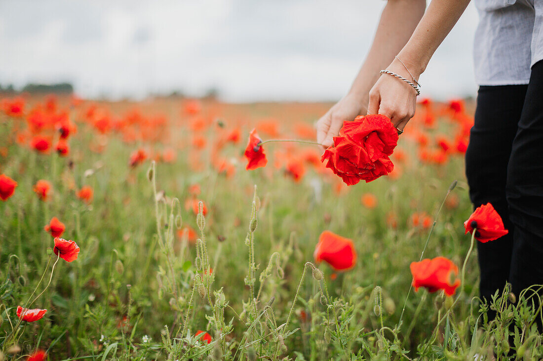 Frau pflückt Mohn