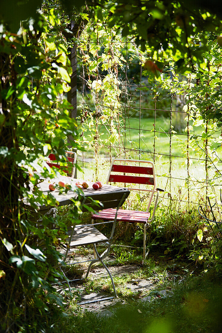 Tisch im Freien in einer Apfelplantage