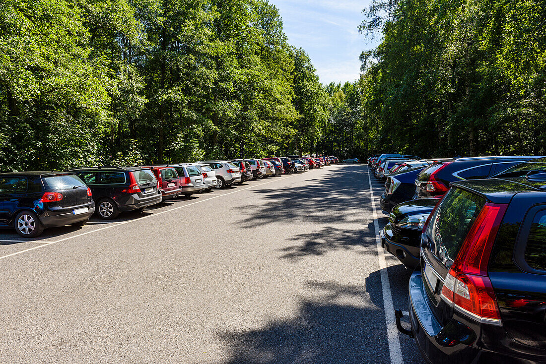 Autoschlange auf Waldparkplatz