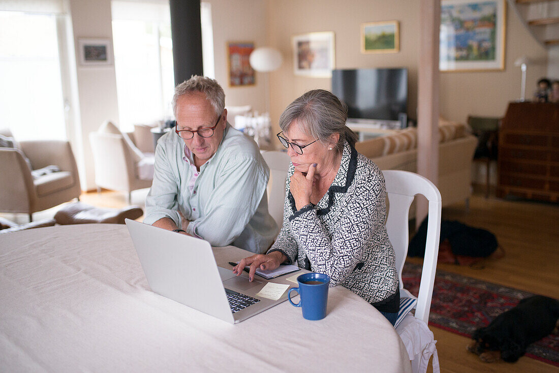 Älteres Paar benutzt Laptop