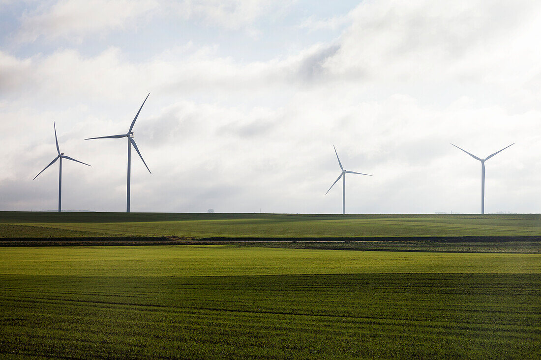 Field with wind turbines