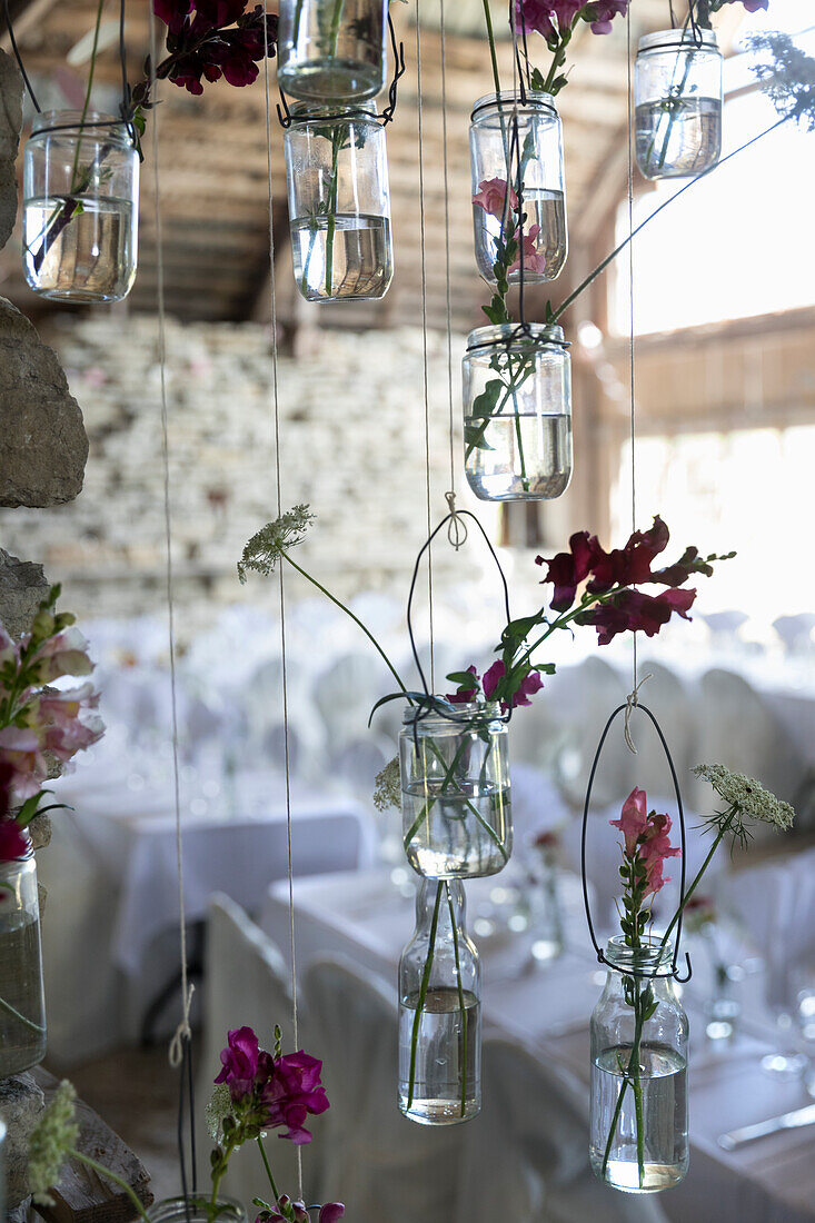 Plants in hanging jars