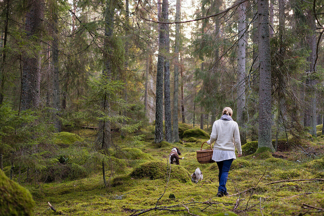 Frau spaziert durch den Wald