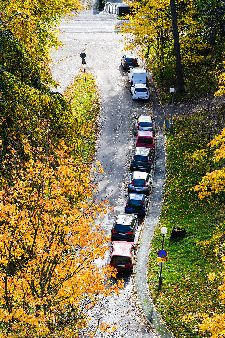 Autos auf der Straße geparkt