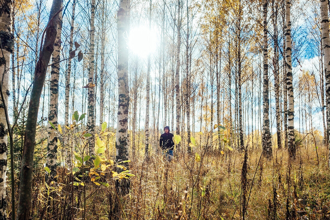 Birkenwald, Person im Hintergrund