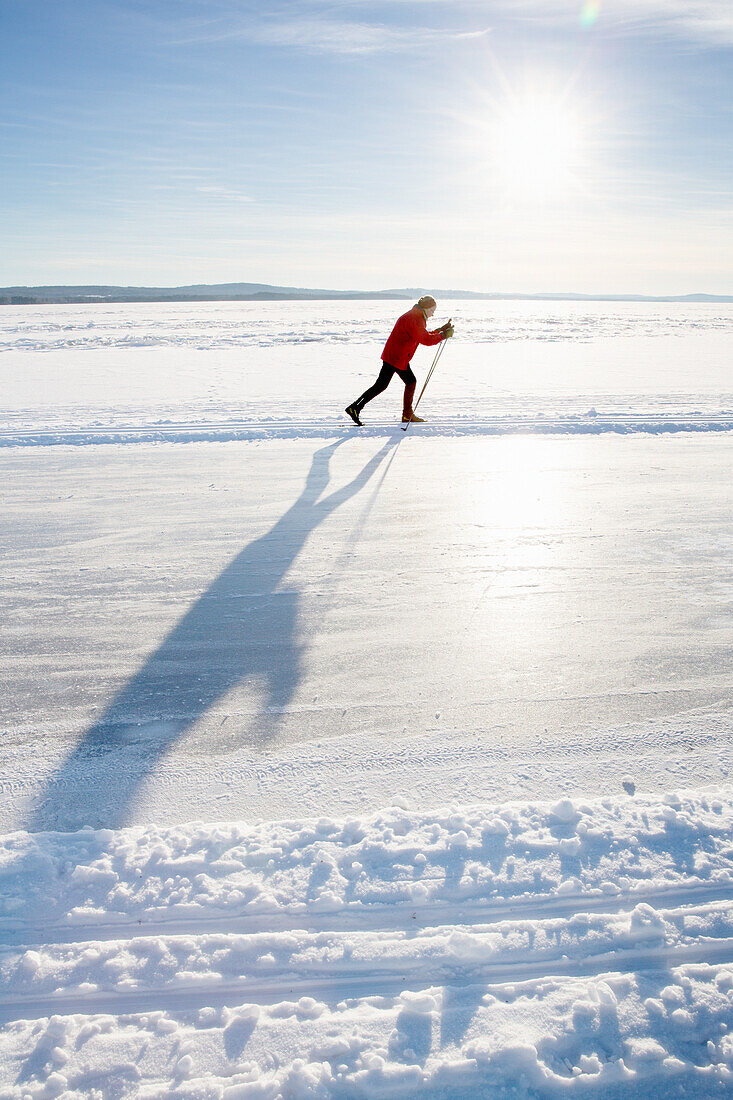 Long distance skater on ice