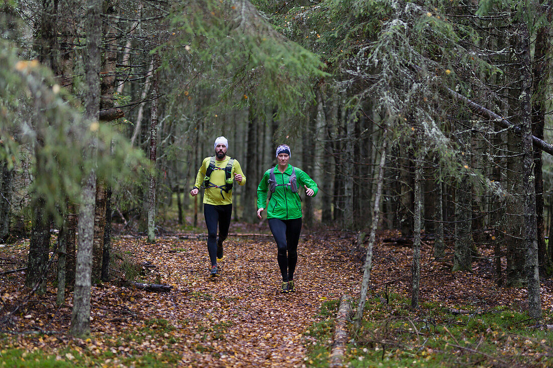 Joggers in forest