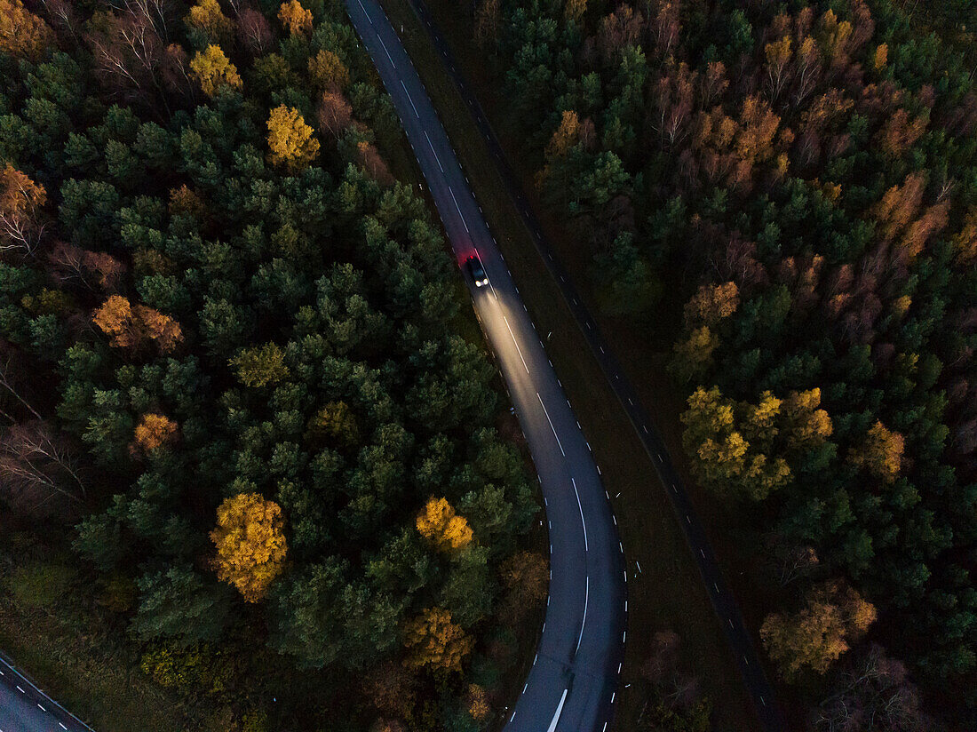 Highway in forest