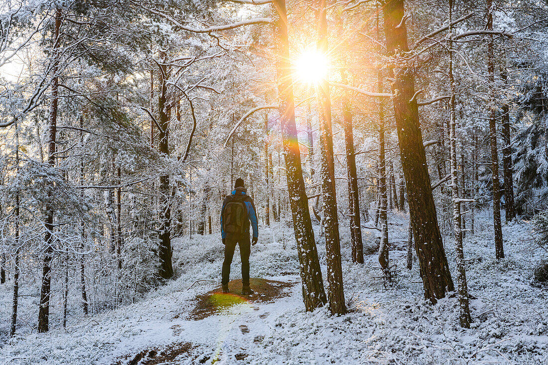 Man walking in winter forest