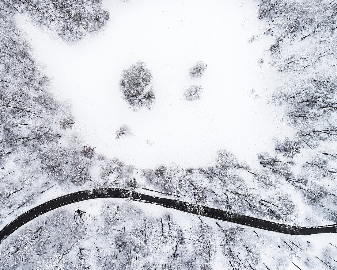 Aerial view of road in forest in winter