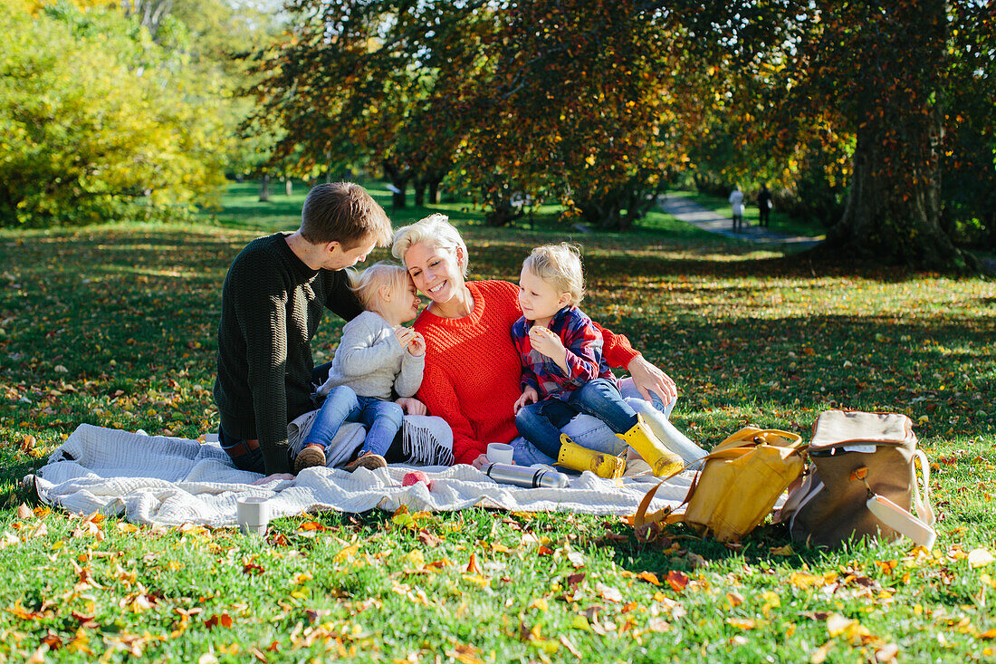Family having picnic