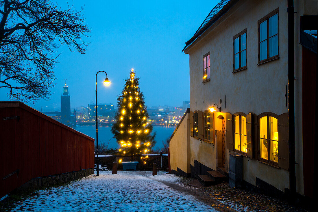 Illuminated Christmas tree in city at dusk