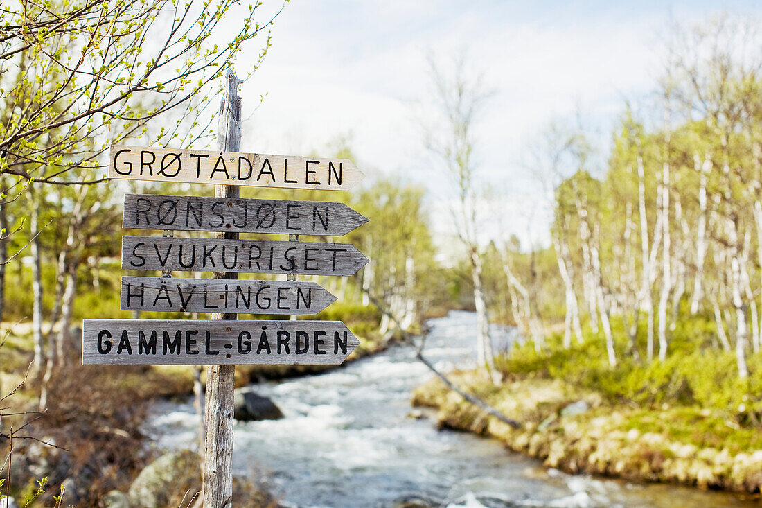 Wooden sign by river