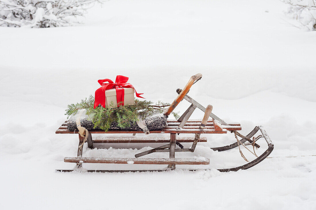 Sledge with gift in winter