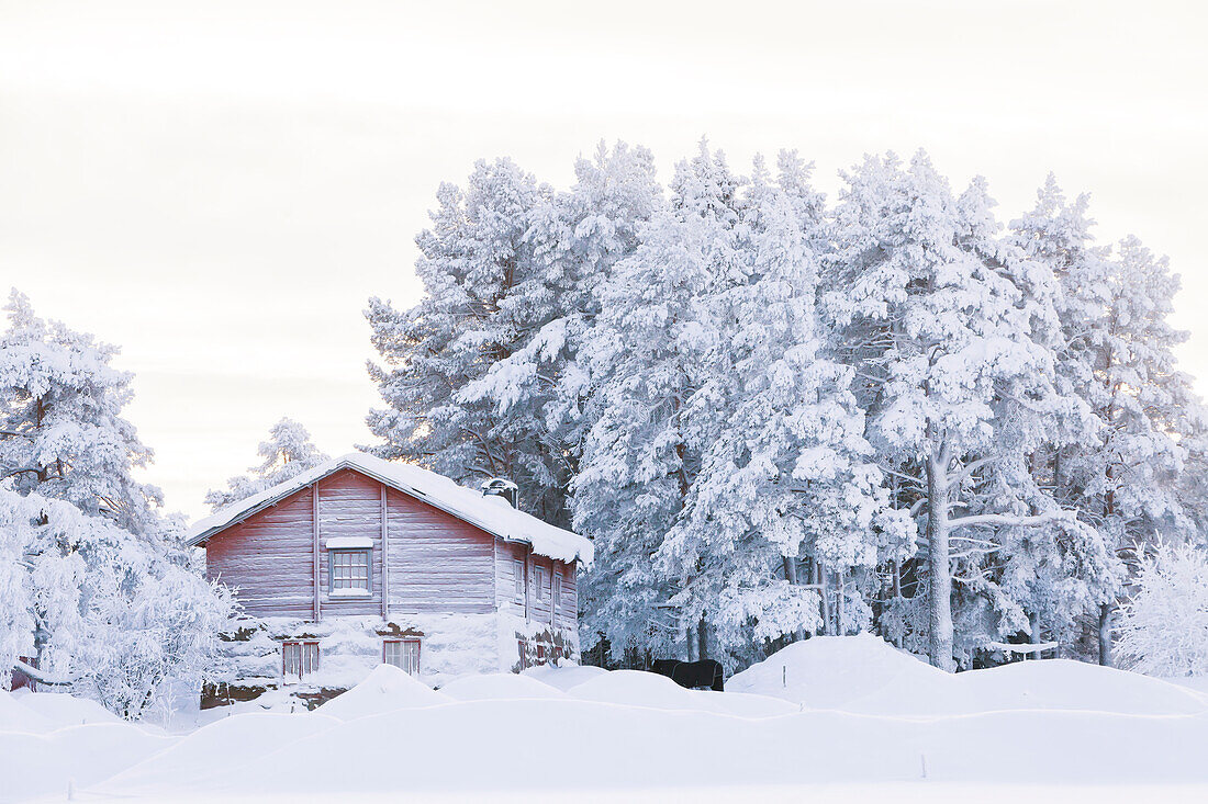 Wooden cottage in winter