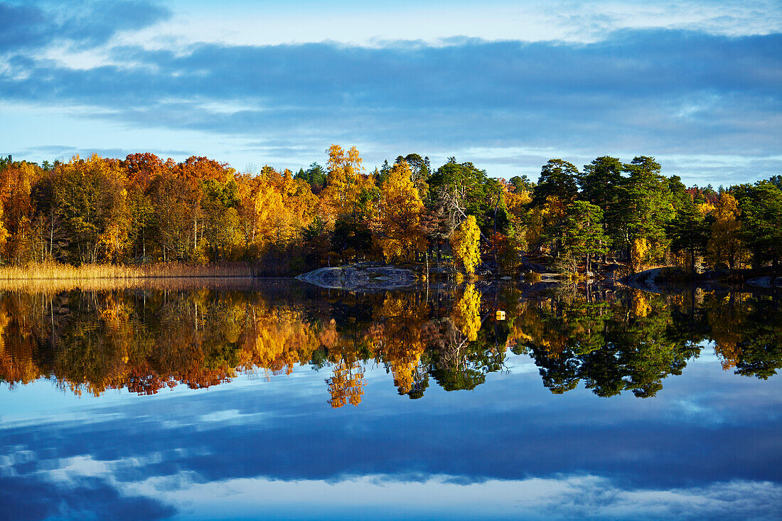 Autumn forest reflecting in lake