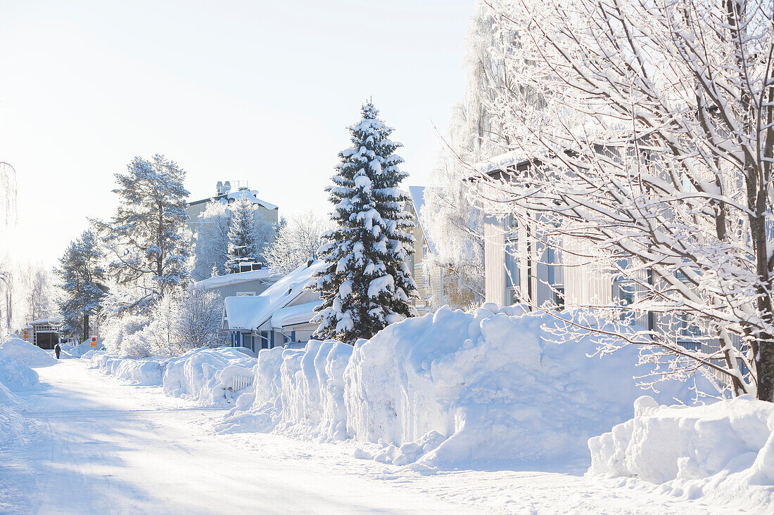 Winter road