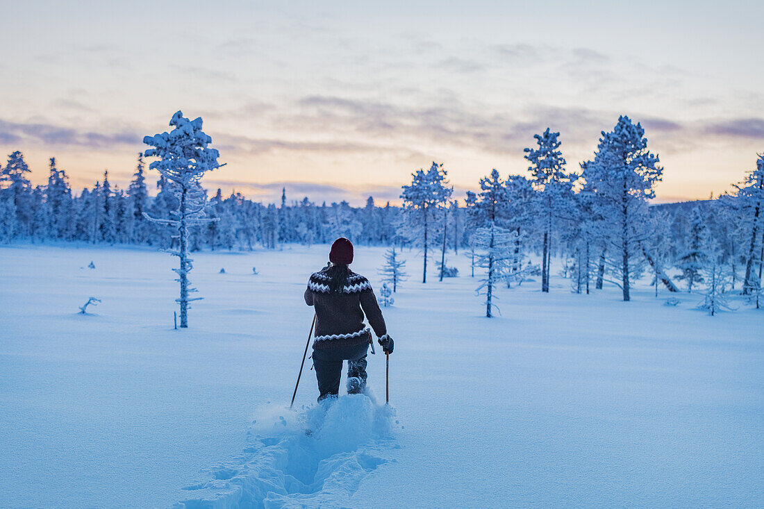 Nordic Walking im Winter