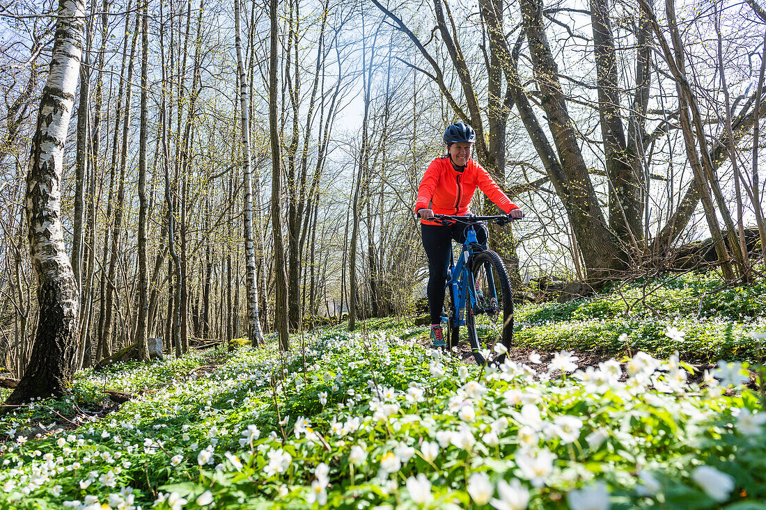 Woman cycling through spring forest