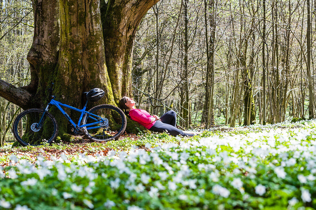 Radfahrer rastet im Wald