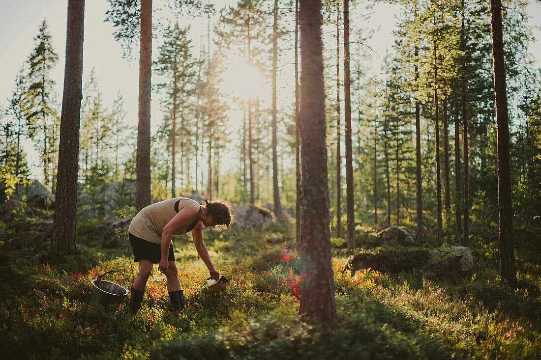 Woman picking blueberries