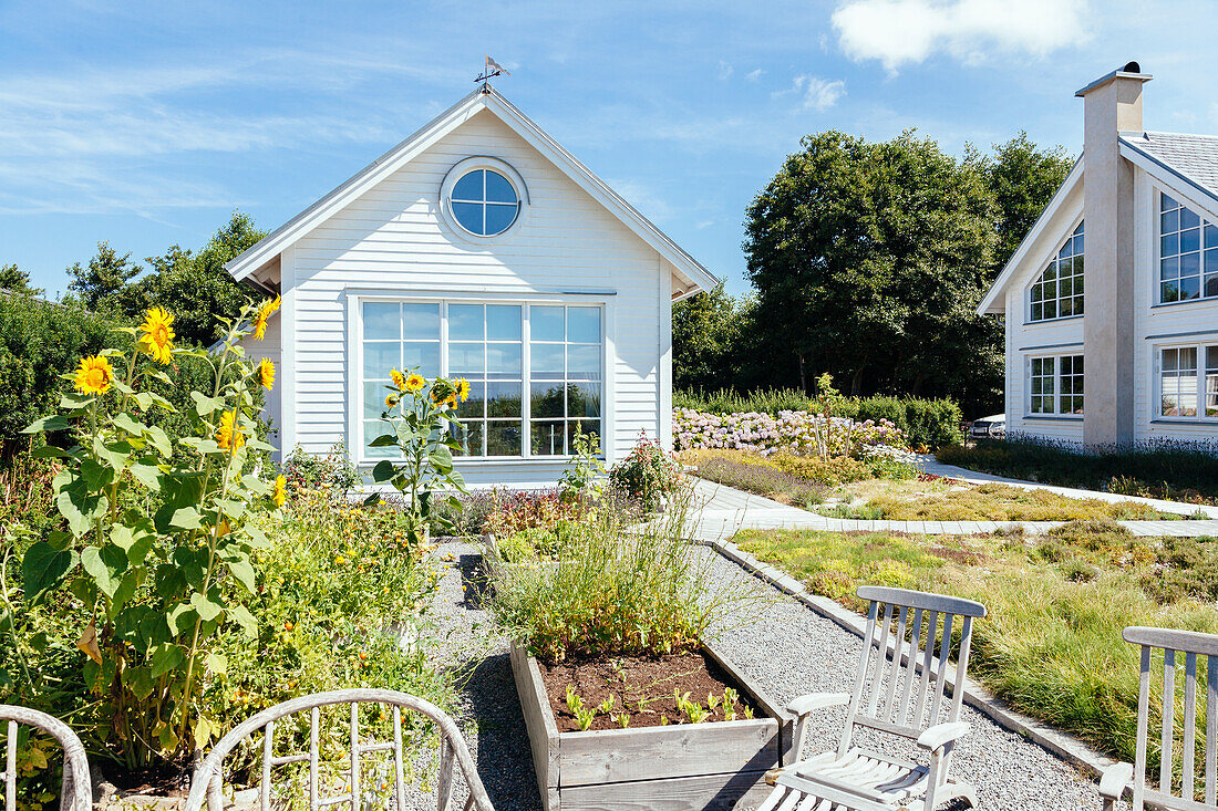 Backyard and house on sunny day