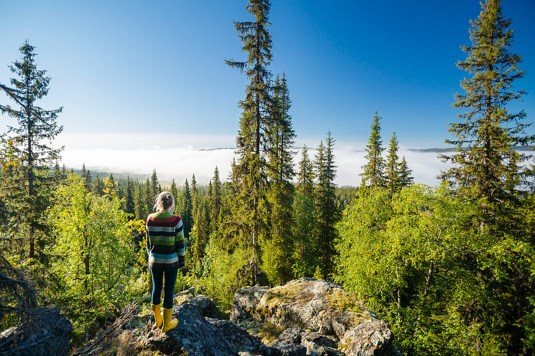 Woman looking at forest