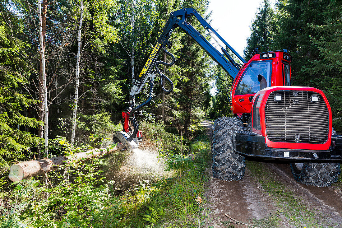 Forestry harvester in forest