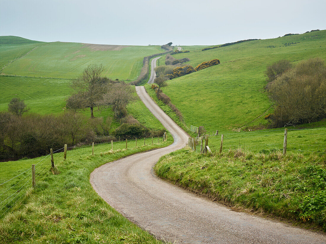 Dirt track trough rural landscape