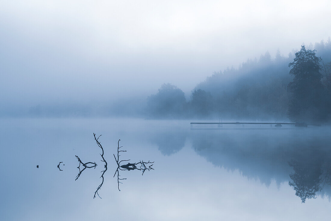 Lake in morning fog