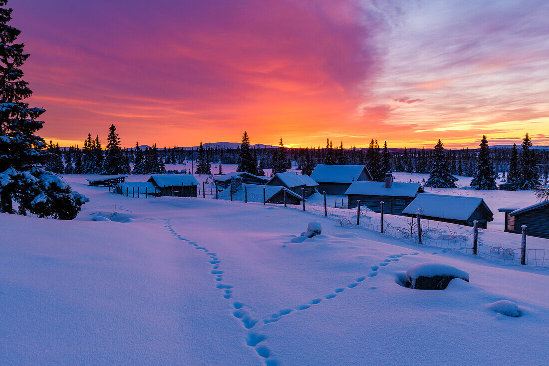 Sonnenuntergang im Winter