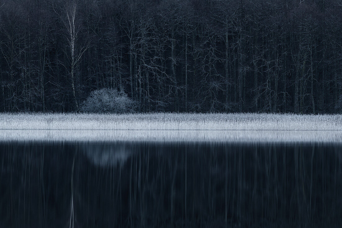 Winter forest reflecting in lake
