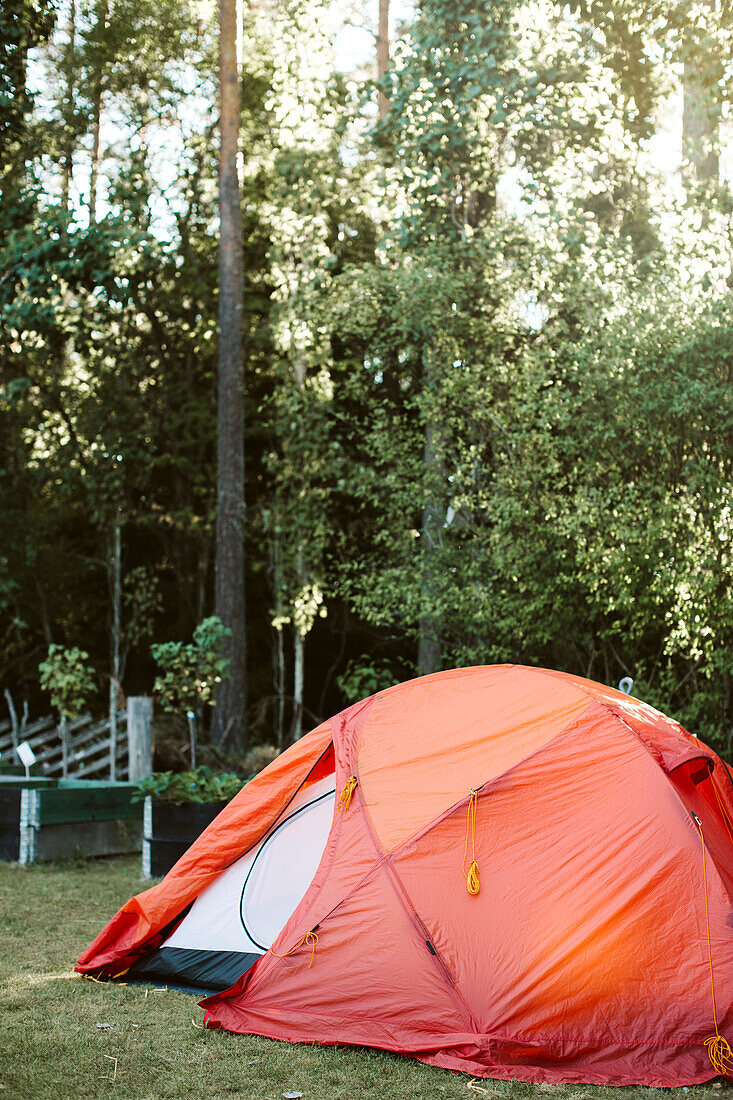 Tent in backyard