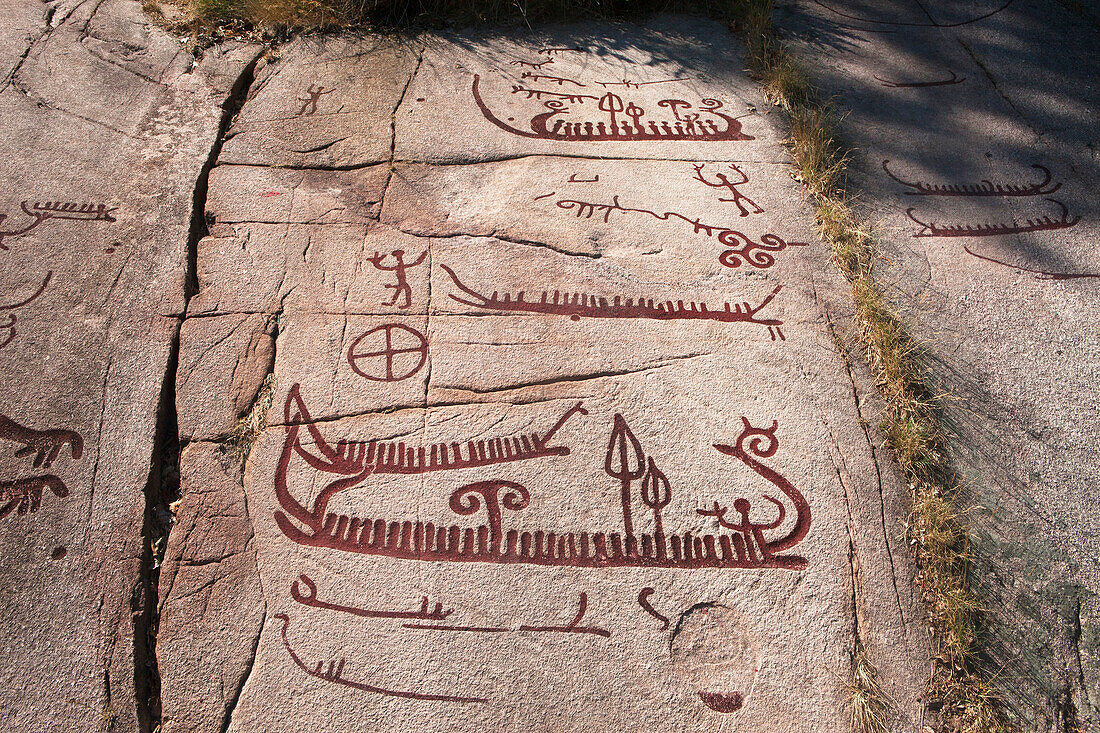 Viking rock paintings
