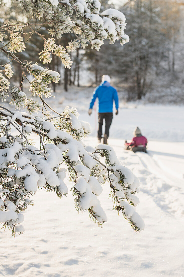 Schnee auf Ästen