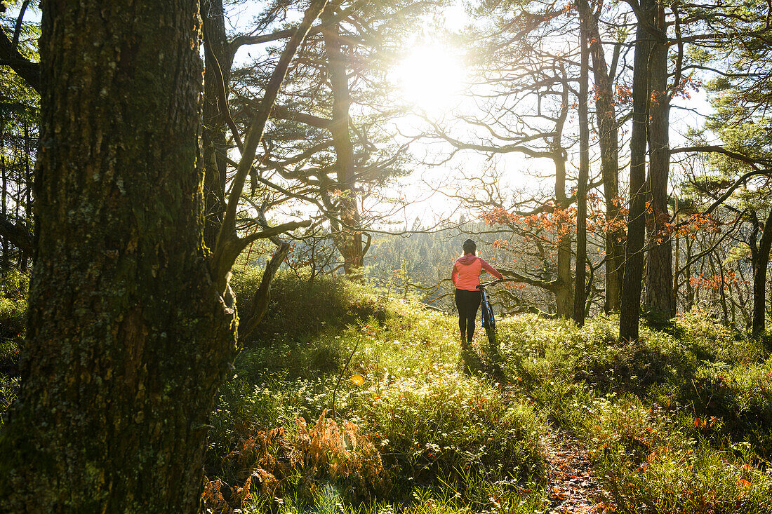 Cyclist in forest