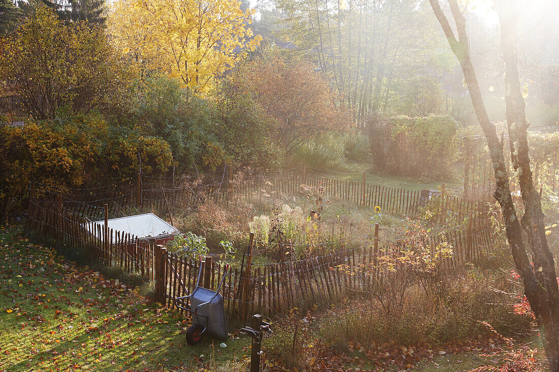 Autumn garden