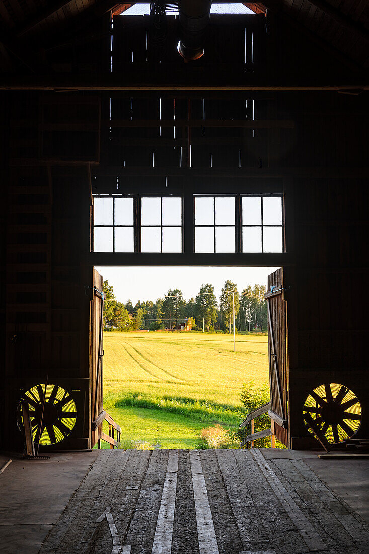 Blick von der Scheune auf das Weizenfeld